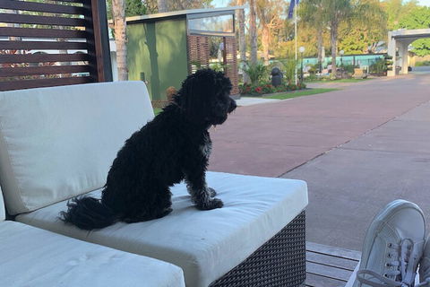 Mulwala Resort - Maitland Accommodation 5