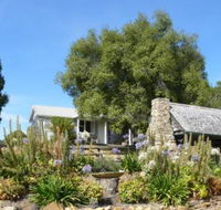 Sassafras Springs - Maitland Accommodation