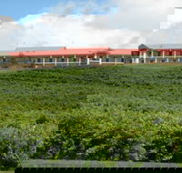 Turners Vineyard Motel and Function Centre - Maitland Accommodation