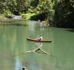 Figtree Getaway - Maitland Accommodation