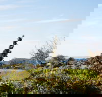 Botanica - Maitland Accommodation