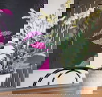 Birdie - Maitland Accommodation