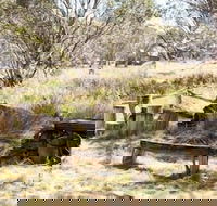 Wrens View - Maitland Accommodation