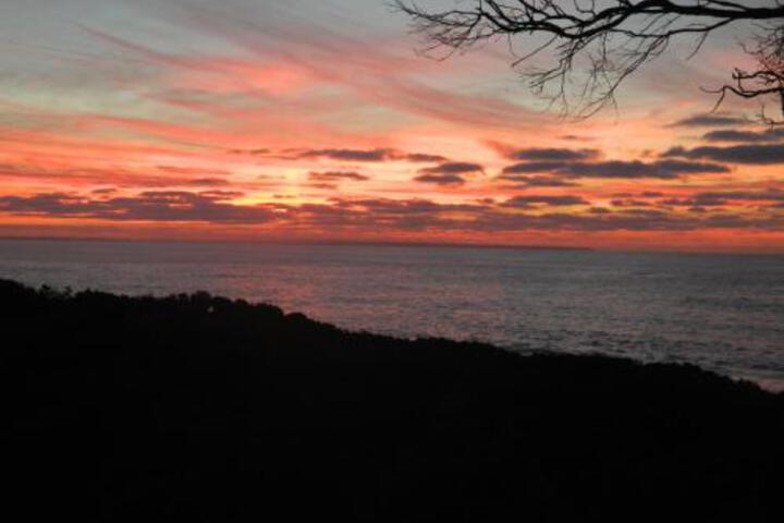 Archies Creek VIC Maitland Accommodation