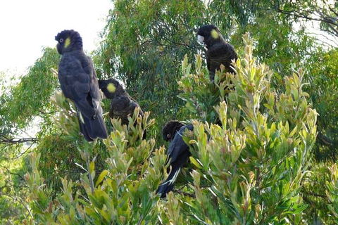 Eagles Rise Tasmania - Maitland Accommodation 5
