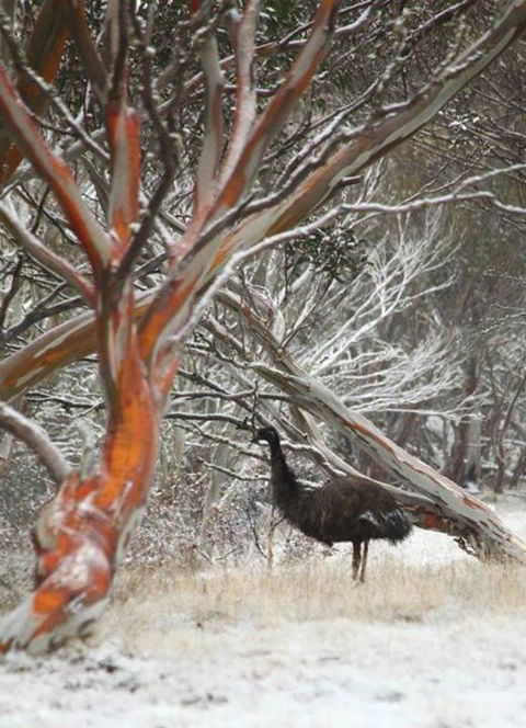 Cape Cod - Maitland Accommodation 3