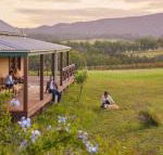 Hanging Tree Wines - Maitland Accommodation