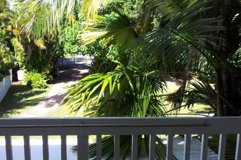 Absolute Backpackers Mission Beach - Maitland Accommodation 4