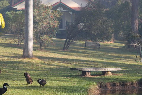 Telegraph Retreat Cottages - Maitland Accommodation 6