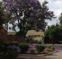Belvoir Village Motel  Apartments Wodonga - Maitland Accommodation