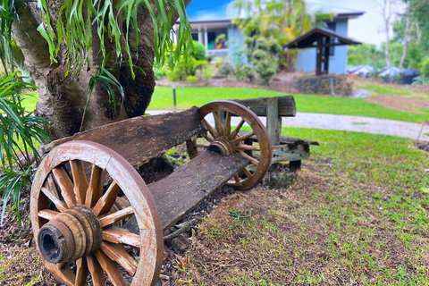 Clouds Mapleton - Maitland Accommodation 1