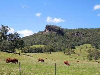 Brooloo QLD Maitland Accommodation