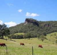 Rosevale House - Maitland Accommodation