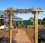 Lavendale Farmstay  Cottages York - Maitland Accommodation