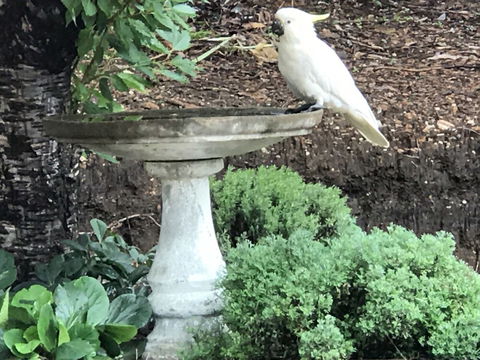 Kurrara Historic Guest House - Maitland Accommodation 2