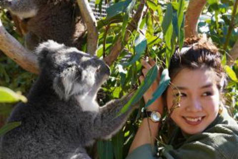 Fauna Australia Wildlife Retreat - Maitland Accommodation 2
