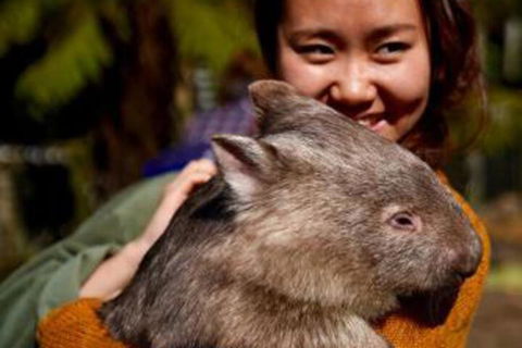 Fauna Australia Wildlife Retreat - Maitland Accommodation 0