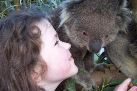 Fauna Australia Wildlife Retreat - Maitland Accommodation 3