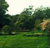 Birdwing Bed  Breakfast Weegena - Maitland Accommodation