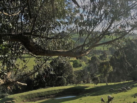 Balingup Highview Chalets - Maitland Accommodation 1