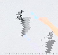 The Sails Motel Brunswick Heads - Maitland Accommodation