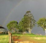 CBR Equine Cottage - Maitland Accommodation