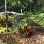 Kuranda QLD Maitland Accommodation