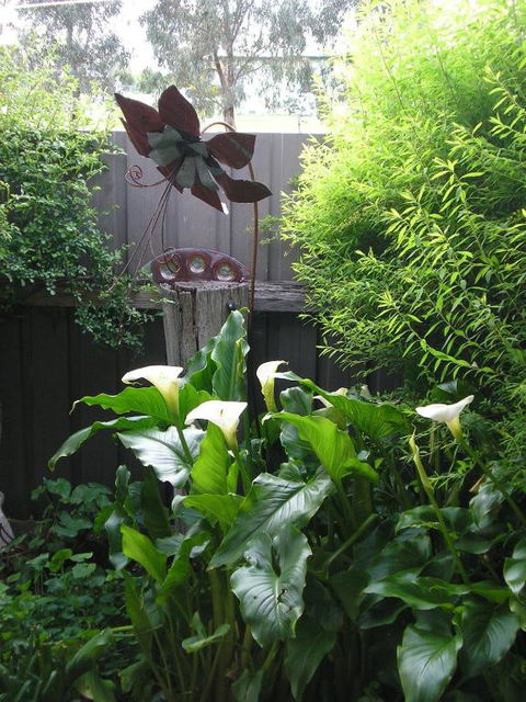 C & As Cottage - Maitland Accommodation 2