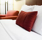 Quality Inn St. Mounts - Maitland Accommodation