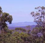 Ravensbourne Escape Cedar Lodge - Maitland Accommodation