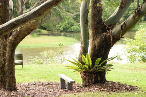 McCarthy Lake House - Maitland Accommodation 4
