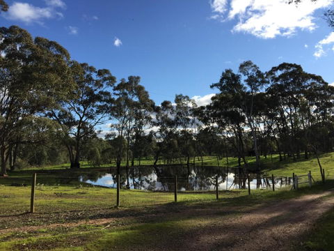 Donkey Tales Farm Cottages - Maitland Accommodation 5