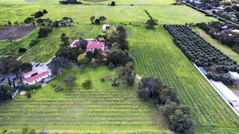 Authenticity Health & Wellness Retreat - Maitland Accommodation 1
