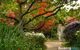 Broomelea Bed & Breakfast - thumb 2