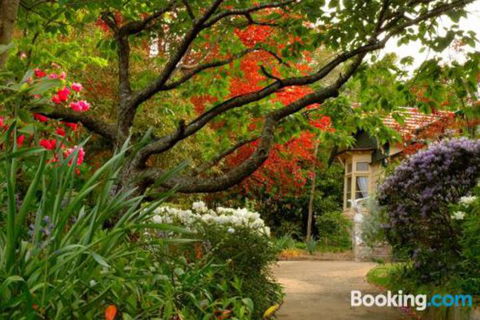 Broomelea Bed & Breakfast - Maitland Accommodation 2