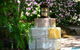 Broomelea Bed & Breakfast - thumb 7