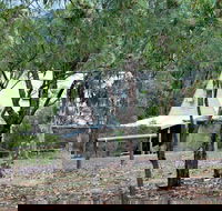 Woodlane Cottages - Maitland Accommodation