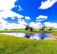 Hillview Farmstay - Maitland Accommodation