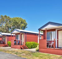 Albany Holiday Park - Maitland Accommodation