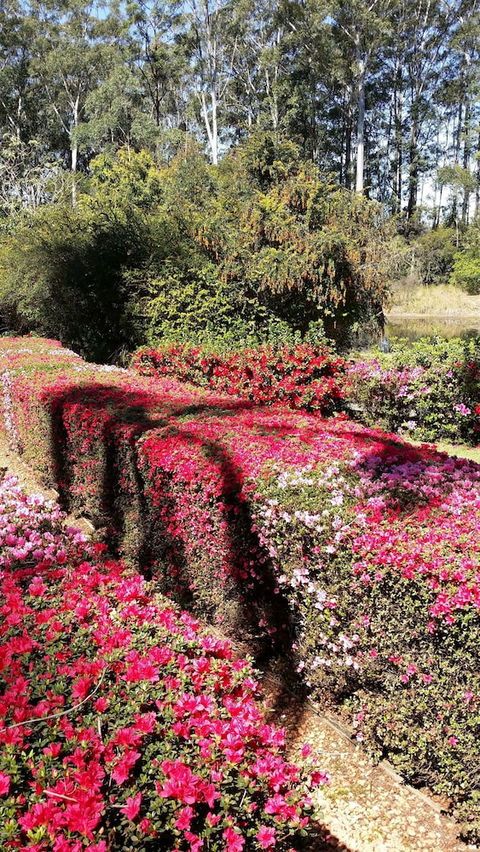 Kiwarrak Country Retreat - Maitland Accommodation 5