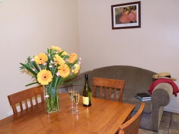 Hamilton Caravan Park - Maitland Accommodation 5