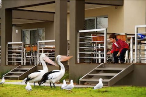 Ski Club Holiday Park - Maitland Accommodation 2