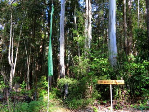 Yarralen Retreat - Maitland Accommodation 4