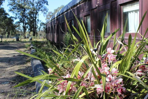 Krinklewood Cottage & Train Carriages - Maitland Accommodation 2