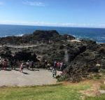 Sea Whispers - Maitland Accommodation