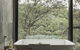 Spicers Sangoma Retreat - Adults Only - thumb 3