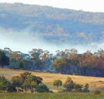Candlebark Retreat - Maitland Accommodation