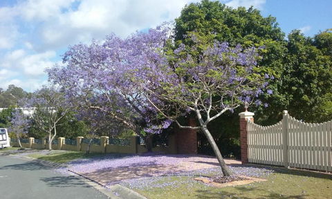 Tranquill Garden Hideaway - Maitland Accommodation 2