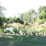 Still Waters - Maitland Accommodation 0