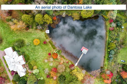 Dantosa Blue Mountains Retreat - Maitland Accommodation 4